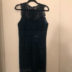 Bardot Lace Dress - Never been worn!